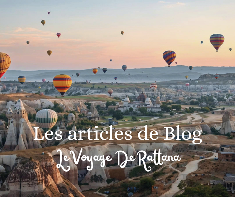 articles de blog